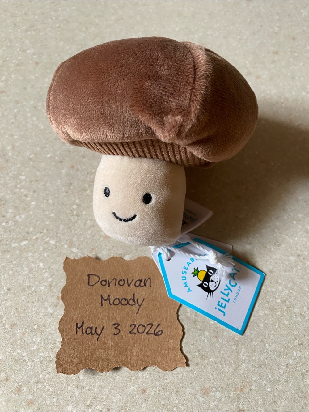 Jellycat mushroom